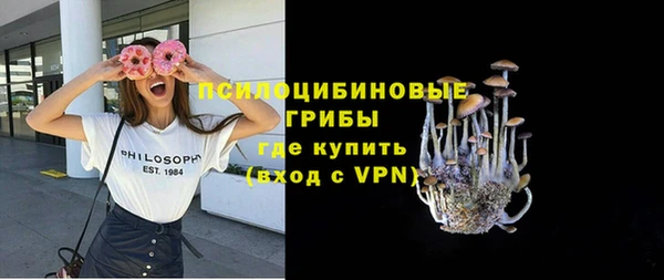 винт Белокуриха
