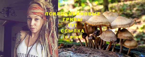 винт Белокуриха