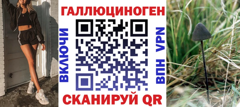 Галлюциногенные грибы Psilocybe  мега как зайти  Будённовск 